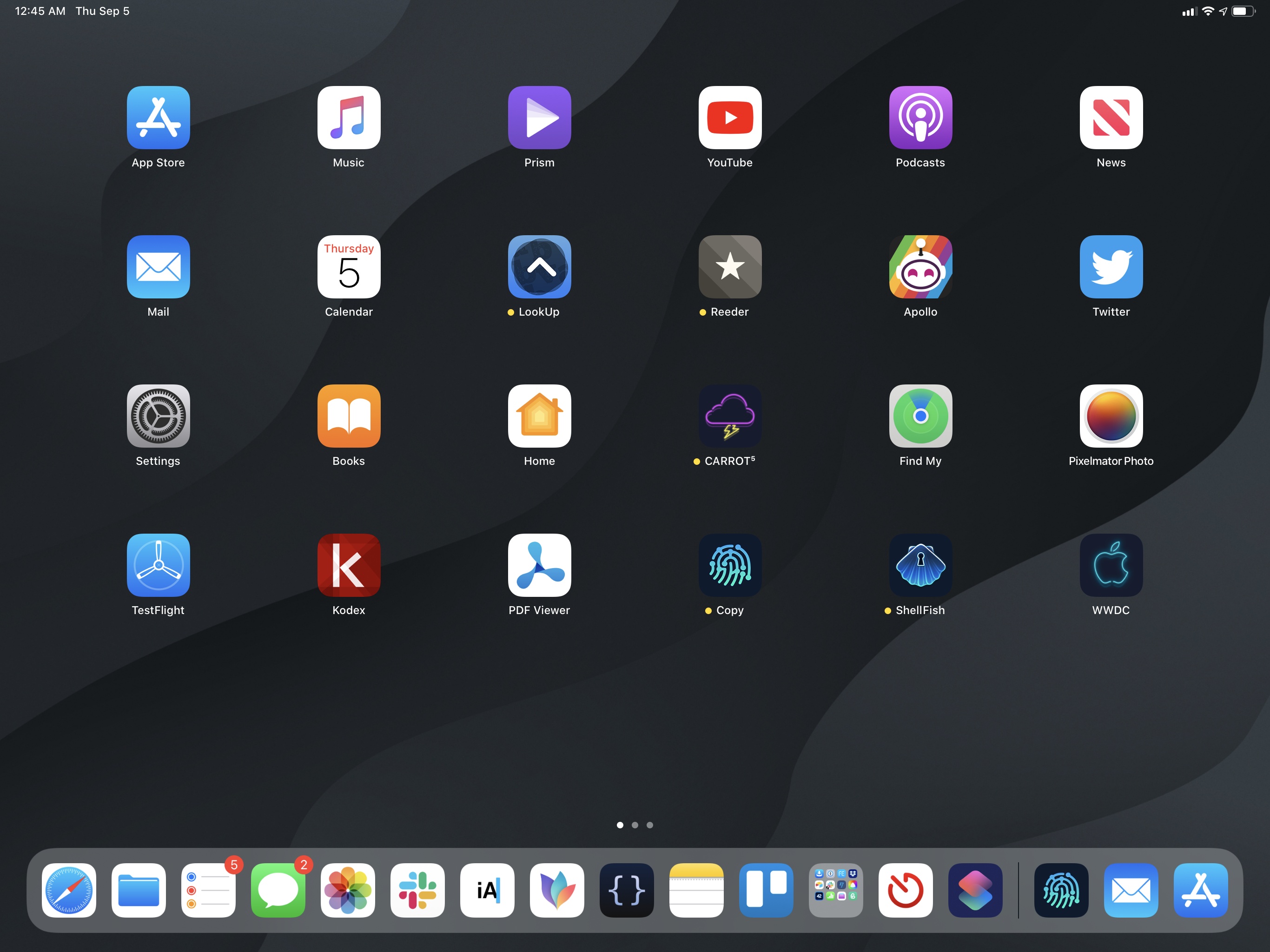 The tighter iPad Home screen without widgets.