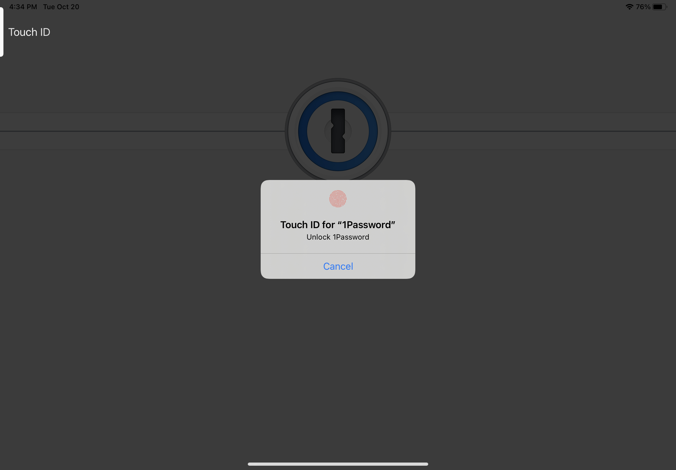 The Touch ID indicator displayed by iPadOS onscreen.