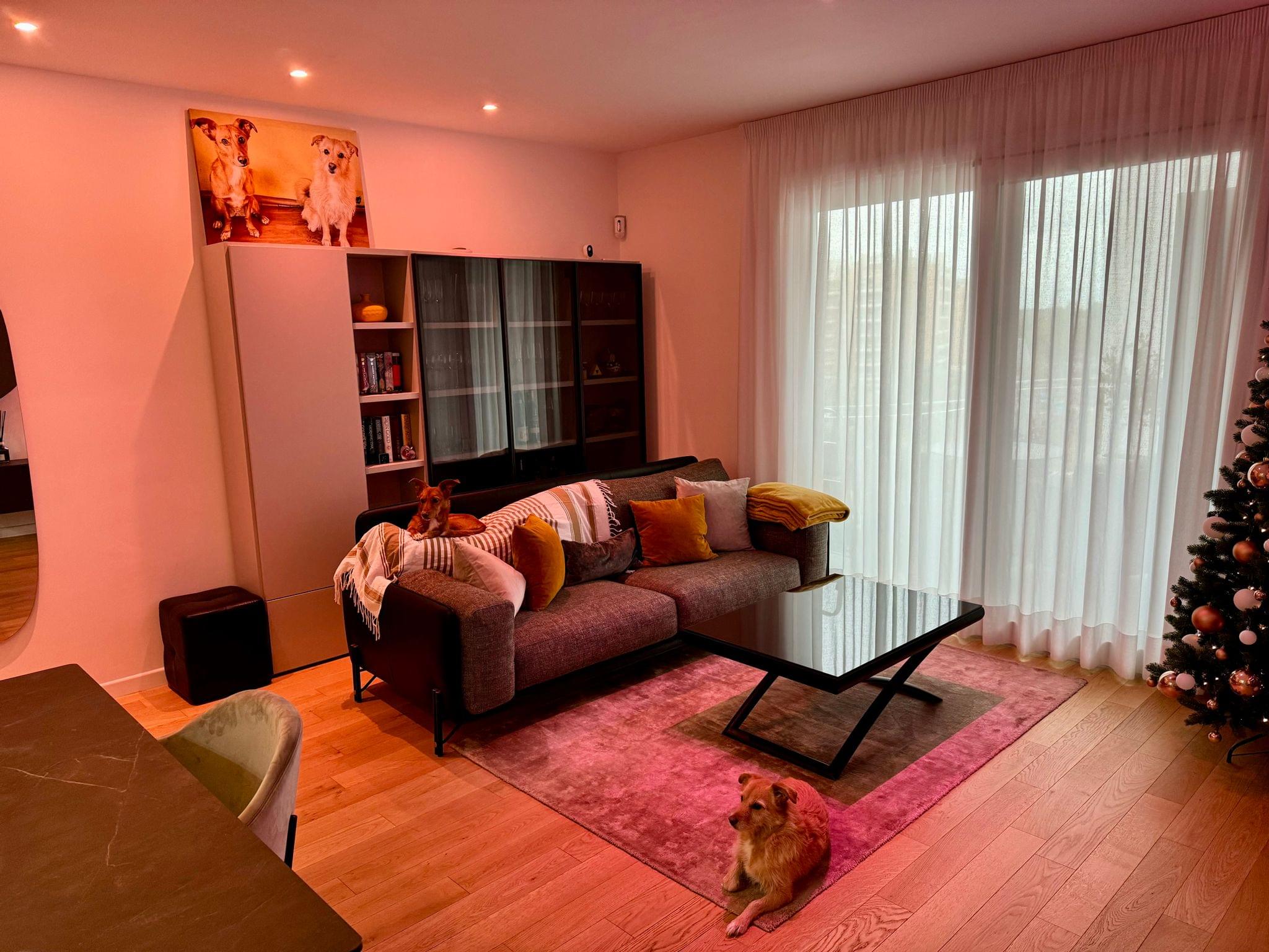 A picture I took during the holiday break showing the recessed lights with a pink scene.