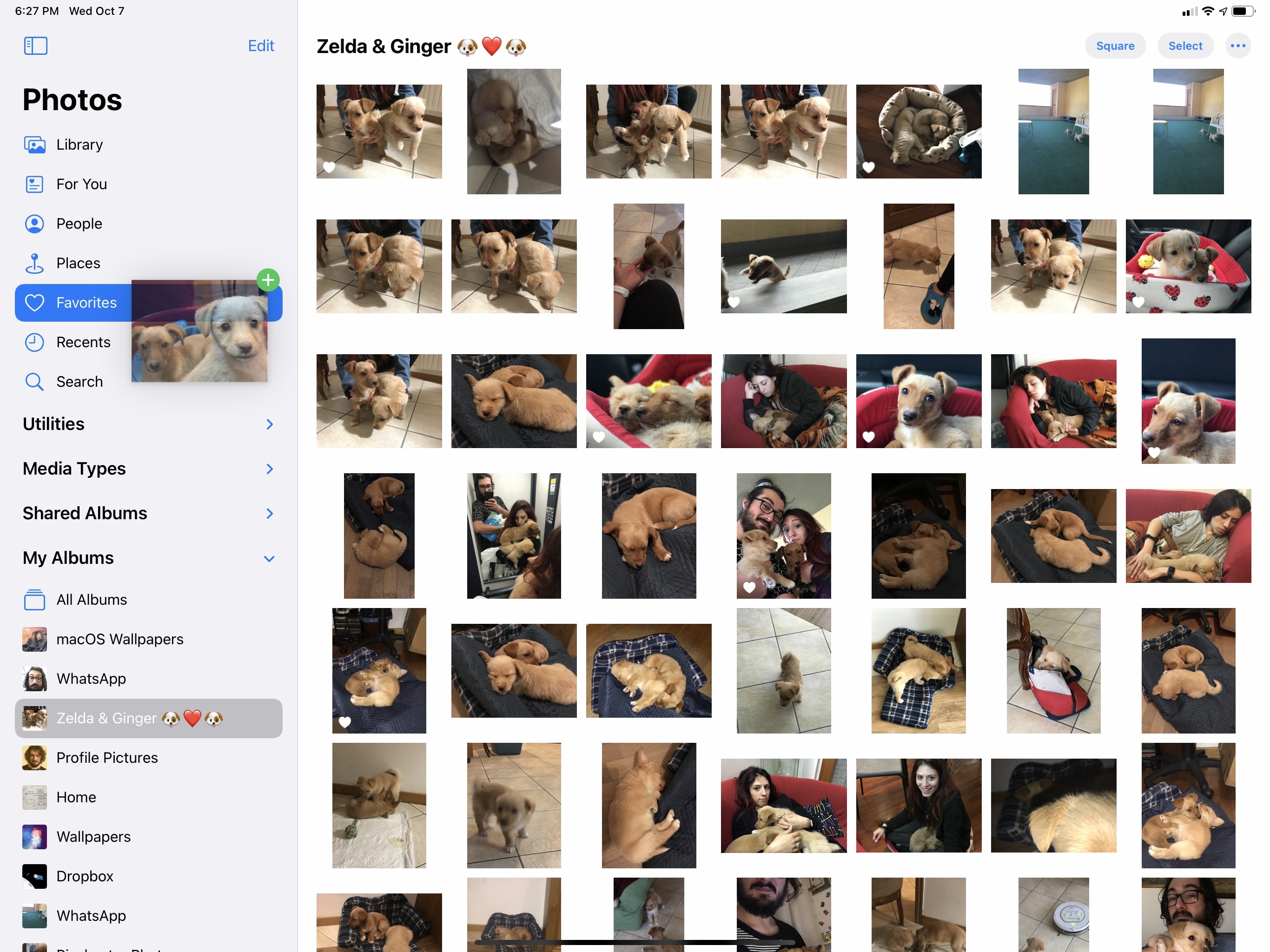 You can use drag and drop and the sidebar to move photos quickly between albums.